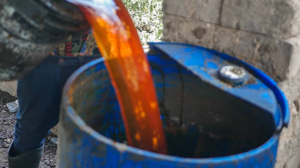 Palmoil Production
