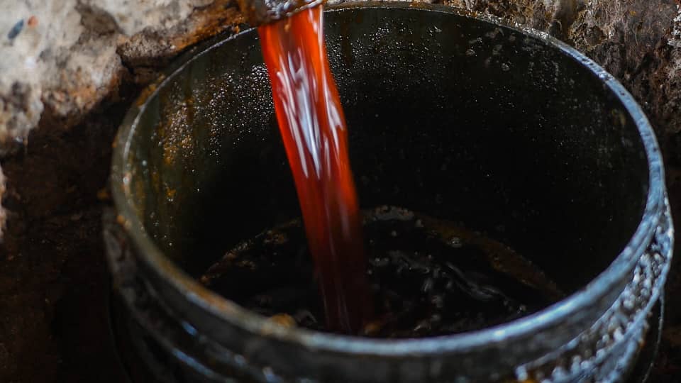 Palmoil Production